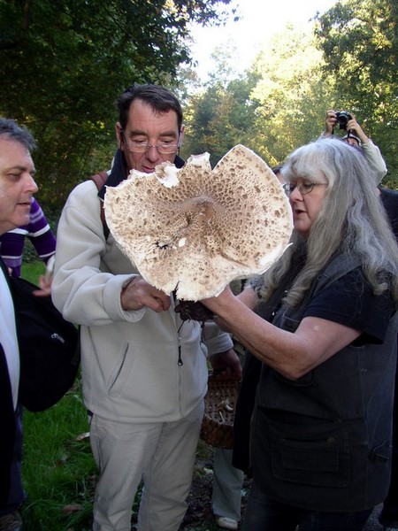 2011 10 02 Baies et champignons 05